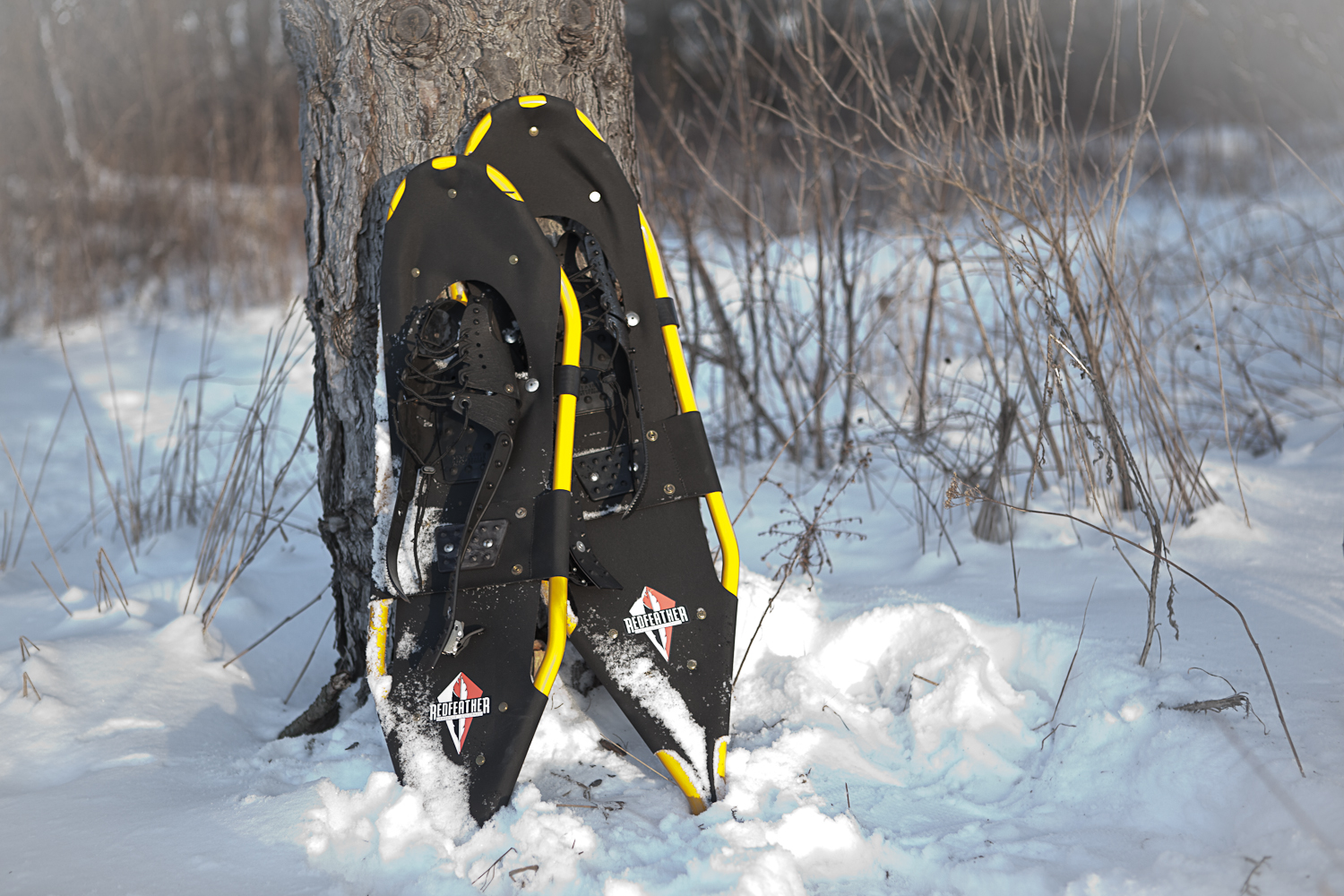 Snowshoeing is Fun! Great Lakes EXPLORER