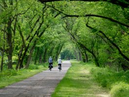 Little Miami River Scenic Trail